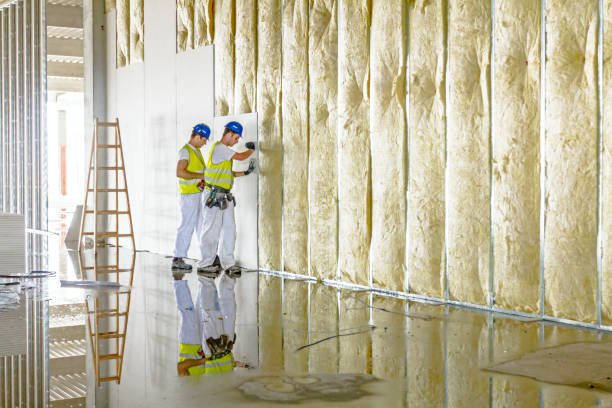 Best Insulation for New Construction  in East Dublin, GA